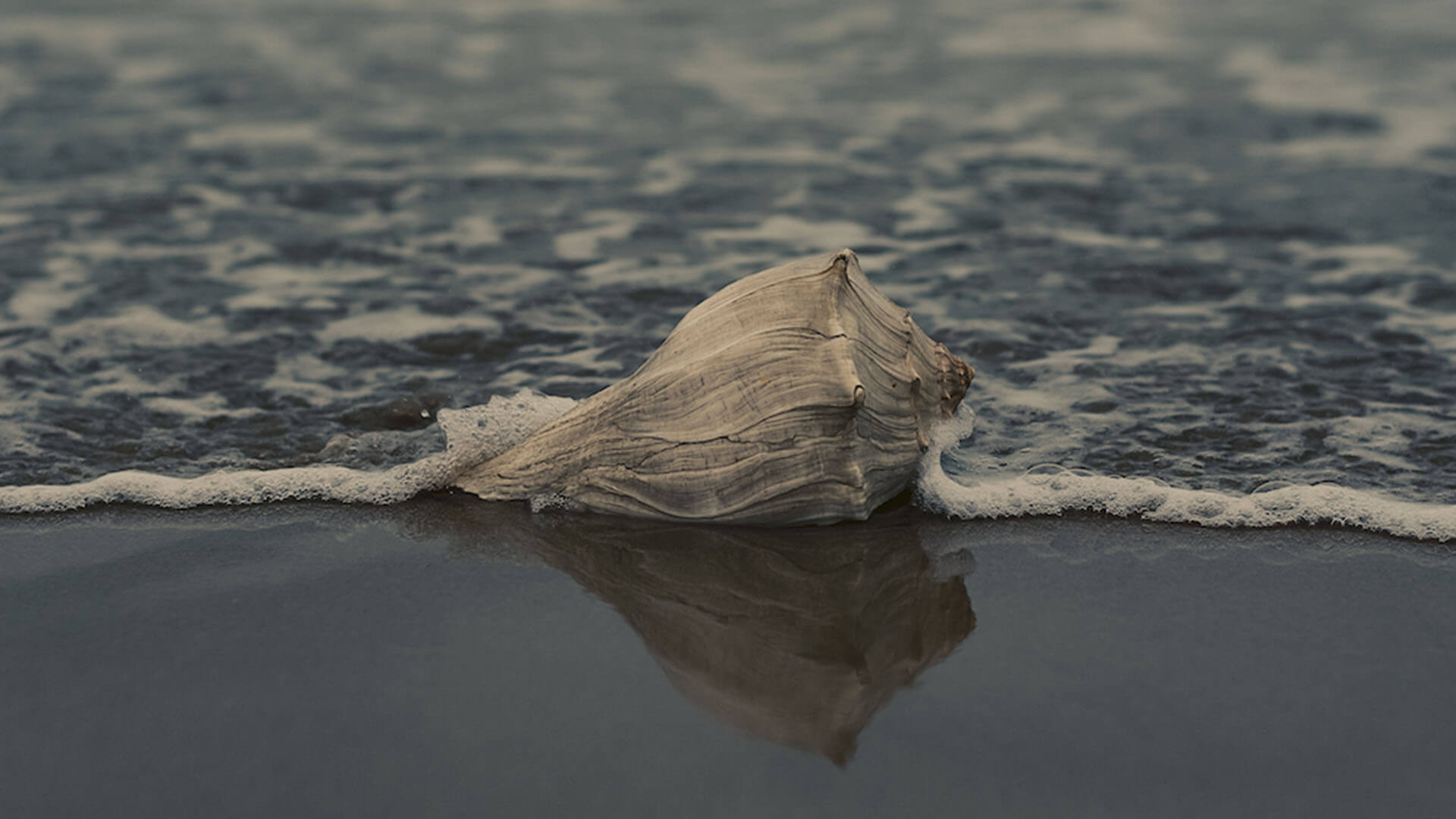 Featured image for &ldquo;When Disaster Strikes Part 2: Navigating Grief and Data Loss&rdquo;